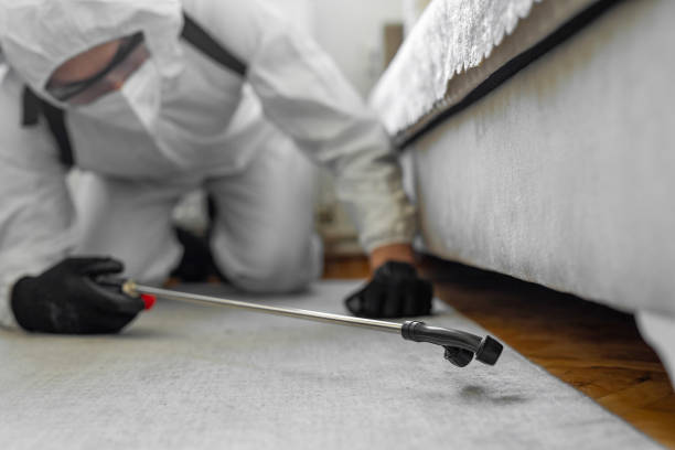 Professional Termite Control technician working in Mogadore, OH