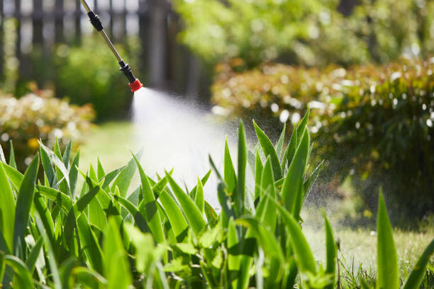 24/7 Emergency Termite Control experts in Mogadore, OH